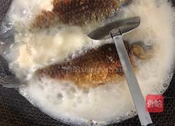 鲫鱼汤的做法图解4
