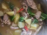 土豆炖鸡肉