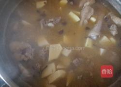 土豆炖鸡肉的做法图解4