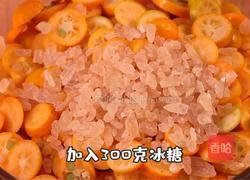 金桔膏的做法图解3