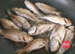 野鲫鱼老豆腐汤的做法图解2