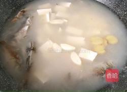 野鲫鱼老豆腐汤的做法图解8