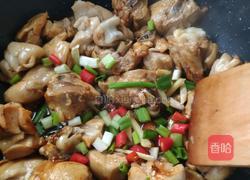 黄焖鸡的做法图解3