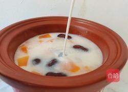 木瓜炖牛奶的做法图解11