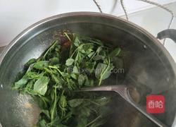西红柿炒豌豆尖（豆苗）的做法图解4