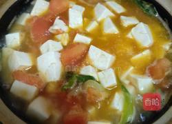 番茄豆腐汤的做法图解6