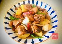 家庭版大盘鸡的做法图解8