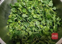 炒草头的做法图解1