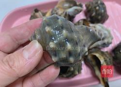 清蒸海螺的做法图解2