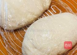 肉末豇豆包子的做法图解4