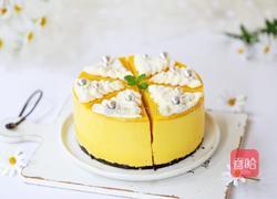 南瓜慕斯蛋糕的做法图解19