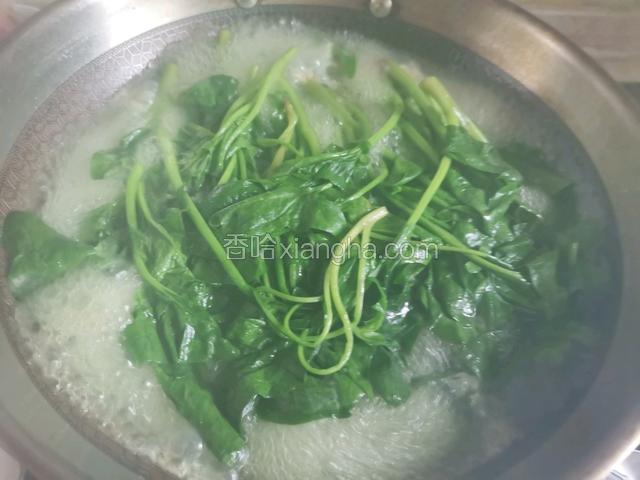 锅中烧开水，加入适量的油和盐，水开下入菠菜焯水2分钟至断生