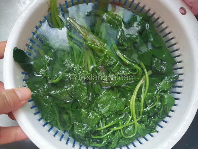 然后捞出投入冷水中