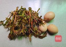 香椿炒蛋的做法图解1
