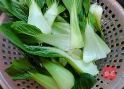 蒜香油菜的做法图解3