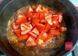 番茄燉牛腩的做法圖解17