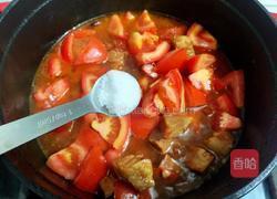 番茄炖牛腩的做法图解18