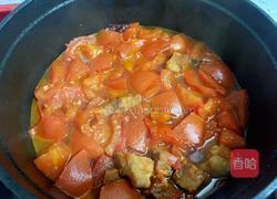 番茄炖牛腩的做法图解19