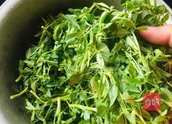 炝拌苜蓿的做法图解1