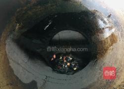 炝拌苜蓿的做法图解5