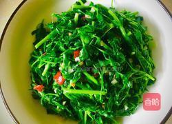 炝拌苜蓿的做法图解7
