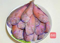 香煎莺歌鱼的做法图解1