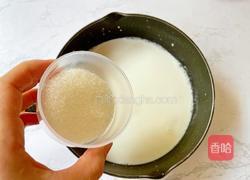 芒果牛奶布丁的做法图解4