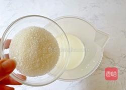 酸奶水果胖胖杯（含自制酸奶）的做法图解4