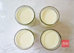 酸奶水果胖胖杯(含自制酸奶)的做法图解9