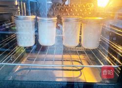 酸奶水果胖胖杯（含自制酸奶）的做法图解10