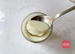 酸奶水果胖胖杯（含自制酸奶）的做法图解11