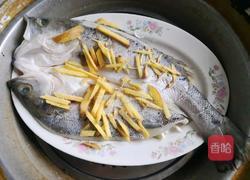 清蒸海鲈鱼的做法图解4