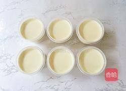 茉莉花奶冻的做法图解12