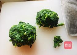 家庭版荠菜饺子的做法图解4