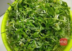 教你煮佛耳草的做法图解1