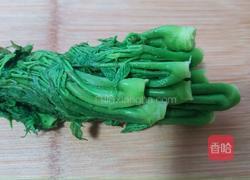 刺老芽炒蛋的做法图解7