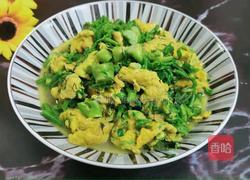 刺老芽炒蛋的做法图解12