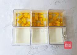芒果双层布丁的做法图解9