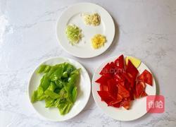 鸡胸肉炒辣椒的做法图解4