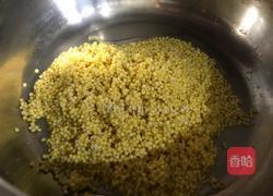 红枣燕麦小米粥的做法图解4