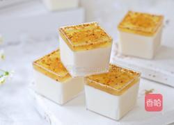 桂花椰奶冻的做法图解11