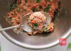 蔬菜肉丸的做法图解4