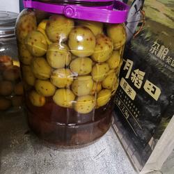 青梅酒的做法[图]