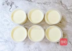 芒果双皮奶的做法图解4