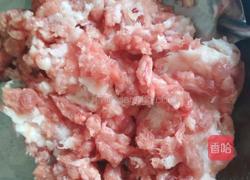 无丝芸豆猪肉水饺的做法图解4