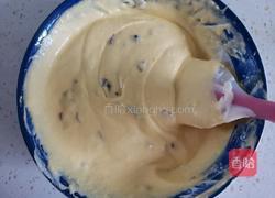 蔓越莓冰淇淋的做法图解11