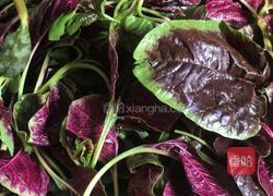 仲夏香苋的做法图解1