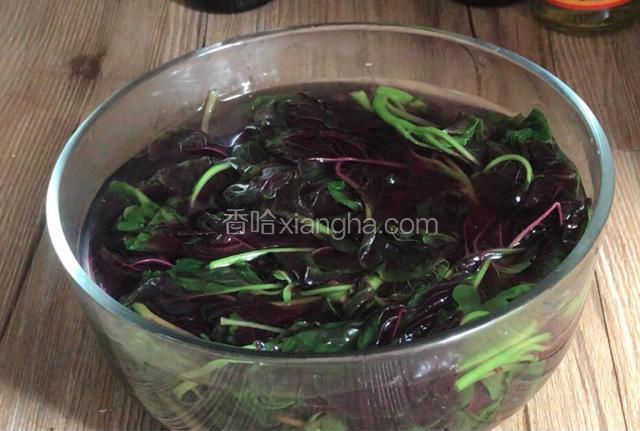 放入苋菜拌匀，大火煮沸捞出放入凉开水中浸泡一会儿