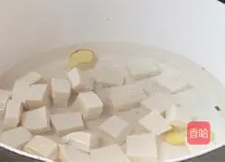 White Jade Mushroom and Tofu Soup Recipe Illustration 9