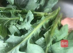 凉拌苦麻菜的做法图解2